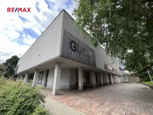 Pronájem obchodního prostoru, Liberec, Ježkova, 487 m2