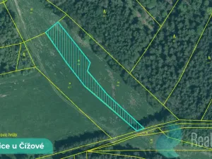 Prodej podílu 1/2 louky, Čížová, 1215 m2