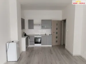 Pronájem bytu 1+kk, Milovice - Mladá, Slepá, 37 m2