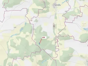 Dražba lesa, Kuřimany, 3688 m2