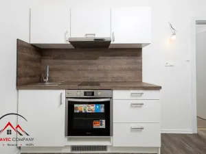 Pronájem bytu 1+kk, Ostrava, Palackého, 26 m2