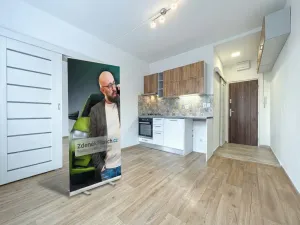 Pronájem bytu 1+1, Chomutov, Kostnická, 36 m2