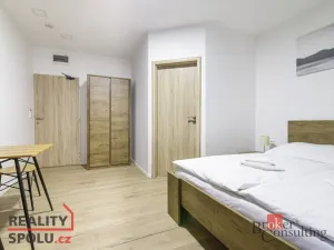 Prodej bytu 1+kk, Horní Lhota, 18 m2