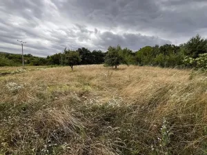 Prodej zahrady, Oslavany, 3447 m2