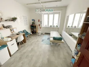 Pronájem kanceláře, Plzeň - Severní Předměstí, Pod Všemi svatými, 40 m2