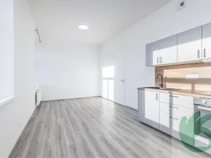 Pronájem bytu 1+kk, Kralupy nad Vltavou, S. K. Neumanna, 38 m2