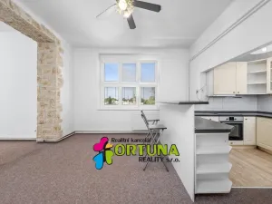 Prodej bytu 2+1, České Budějovice - České Budějovice 3, Fr. Hrubína, 81 m2