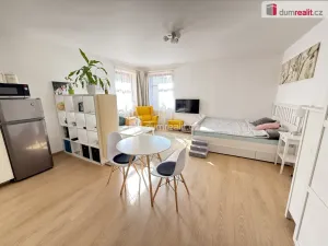 Pronájem bytu 1+kk, Kralupy nad Vltavou, Přemyslova, 38 m2