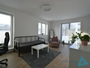 Pronájem bytu 1+kk, Nová Paka, P. Bezruče, 47 m2