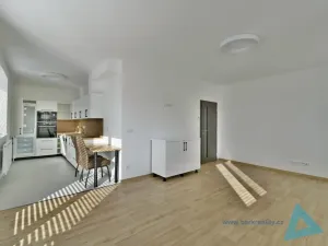 Pronájem bytu 1+kk, Nová Paka, P. Bezruče, 47 m2