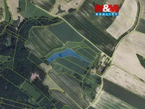 Prodej louky, Horní Třešňovec, 7248 m2