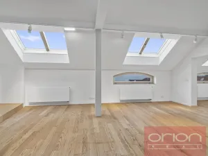 Pronájem bytu 3+1, Praha - Bubeneč, U akademie, 130 m2