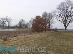 Prodej pole, Dříteň, 1815 m2
