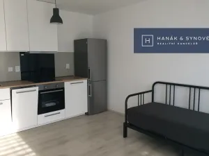 Pronájem bytu 1+kk, Brno, Rumiště, 25 m2