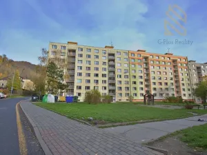 Prodej bytu 2+1, Ústí nad Labem, Jindřicha Plachty, 57 m2