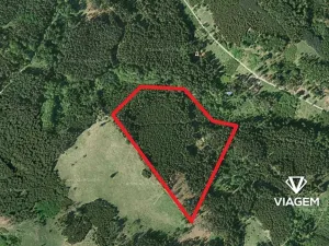 Prodej podílu lesa, Všechovice, 23376 m2