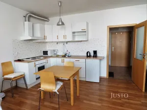 Pronájem bytu 1+kk, Písek, V Portyči, 31 m2