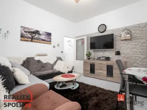 Pronájem bytu 2+kk, Opava - Předměstí, Krnovská, 41 m2