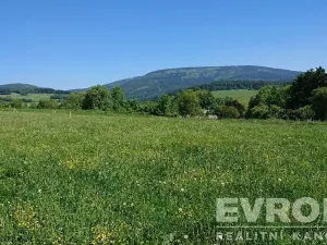 Prodej pozemku pro bydlení, Černý Důl, 1370 m2