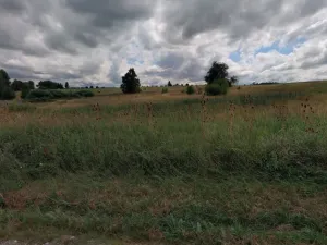 Prodej pozemku pro bydlení, Trhové Sviny, U Cihelny, 2258 m2