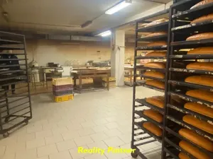 Pronájem výrobních prostor, Příbram, Plzeňská, 350 m2