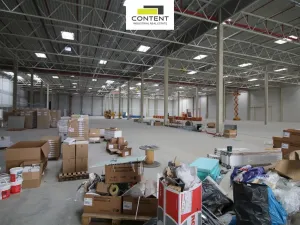 Pronájem skladu, Pavlov, Logistická, 8884 m2