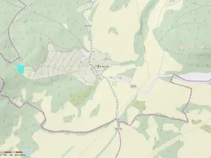 Prodej pozemku, Stružnice - Bořetín, 2913 m2