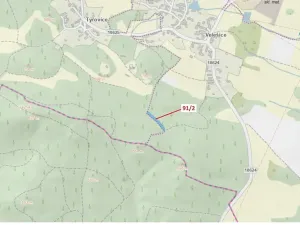 Dražba lesa, Pačejov, 1363 m2