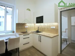 Pronájem bytu 1+1, Brno, Koliště, 24 m2