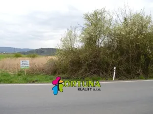 Prodej pozemku pro bydlení, Hvozdnice, 5887 m2