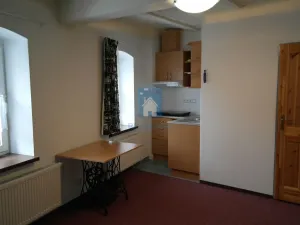 Pronájem bytu 1+kk, Plzeň, V Úhlu, 20 m2