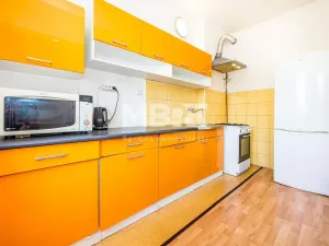 Pronájem bytu 2+kk, Ústí nad Labem - Střekov, Děčínská, 61 m2