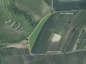 Prodej pole, Dolní Dunajovice, 9912 m2