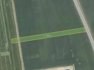 Prodej pole, Dub nad Moravou, 6158 m2