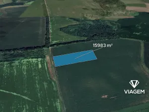 Prodej podílu pole, Komořany, 1331 m2