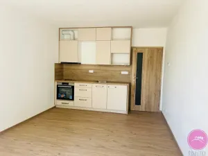 Pronájem bytu 1+kk, Olomouc, Frištenského, 32 m2