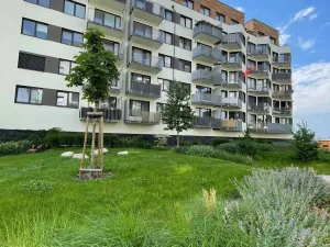 Pronájem bytu 2+kk, Praha - Hlubočepy, Hugo Haase, 55 m2