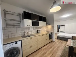 Pronájem bytu 1+kk, Tisá, 33 m2