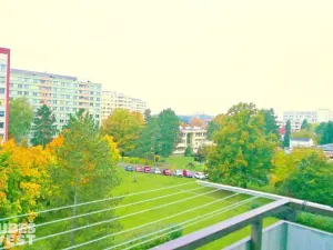 Pronájem bytu 3+1, Hradec Králové, Bratří Štefanů, 61 m2