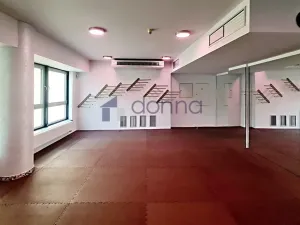 Pronájem obchodního prostoru, Praha, Chrudimská, 360 m2