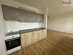 Pronájem bytu 2+1, Bílina - Pražské Předměstí, Bezejmenná, 48 m2