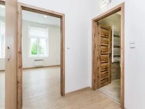 Pronájem bytu 1+kk, Hradec Králové, náměstí Svobody, 30 m2