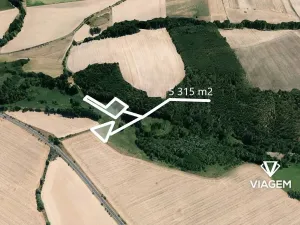 Prodej pole, Holasovice, 5314 m2