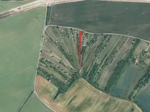 Prodej sadu/vinice, Svatobořice-Mistřín, 1492 m2