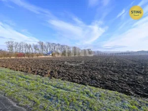 Prodej pozemku pro bydlení, Tlumačov, 2000 m2