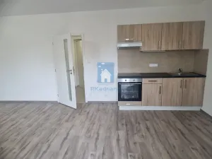 Pronájem bytu 1+kk, Plzeň, Železniční, 44 m2