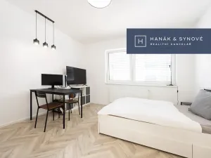 Pronájem bytu 1+kk, Brno, Cejl, 26 m2