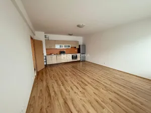 Pronájem bytu 2+kk, Praha - Nusle, Bartoškova, 57 m2