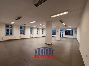 Pronájem obchodního prostoru, Týn nad Vltavou, Horní Brašov, 200 m2