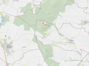 Dražba lesa, Vícenice, 6645 m2